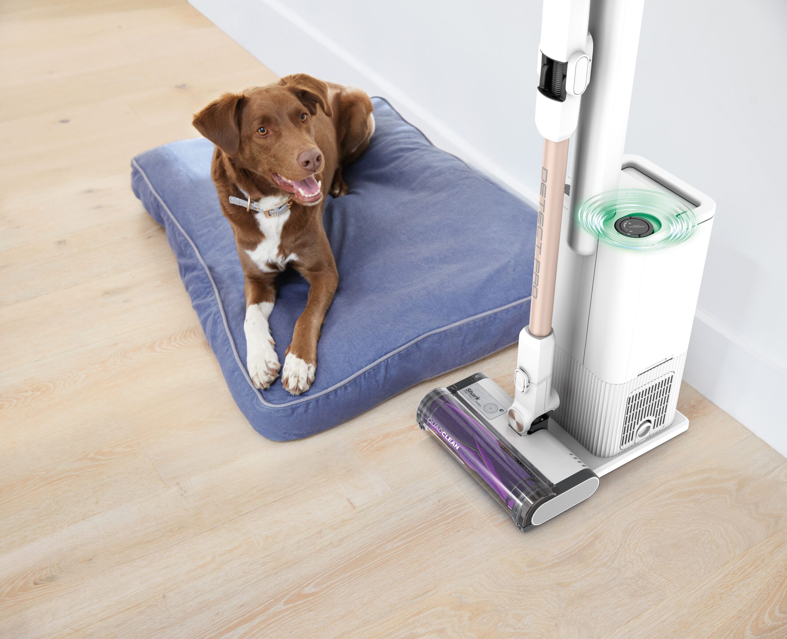 Shark-R-IW3611UKEU-InUse-Storage-Hallway-OdorPuck-Dog