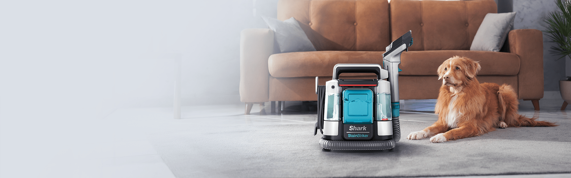 Непопустлив против дамки