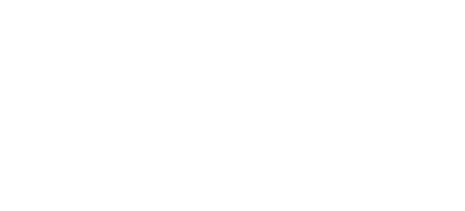 ninja logo